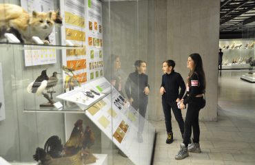 В феврале обучающиеся 5-6 классов посетили   с экскурсией Дарвиновский Музей 9